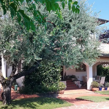 In Signori ديسينسانو ديل غاردا
